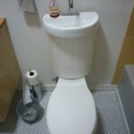 Toilet-sink-combo-for-small-spaces